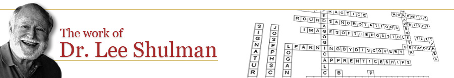 Lee Shulman - Domains